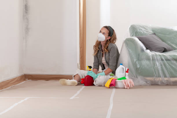 Reliable Black Mold Removal contractor in Spring Hill, FL by WQB Mold Removal